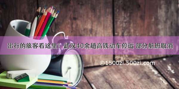 出行的旅客看这里！武汉40余趟高铁动车停运 部分航班取消