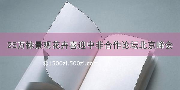 25万株景观花卉喜迎中非合作论坛北京峰会