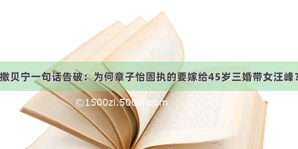 撒贝宁一句话告破：为何章子怡固执的要嫁给45岁三婚带女汪峰？