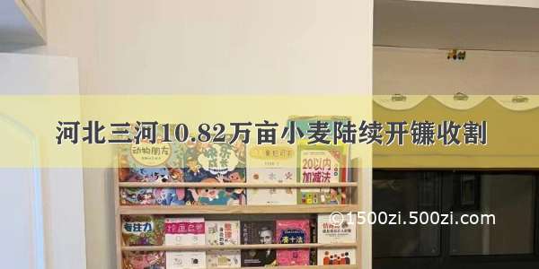 河北三河10.82万亩小麦陆续开镰收割