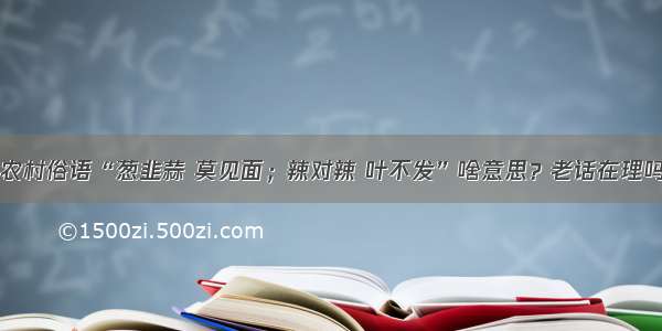 农村俗语“葱韭蒜 莫见面；辣对辣 叶不发”啥意思？老话在理吗