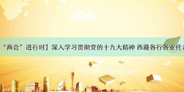 【西藏“两会”进行时】深入学习贯彻党的十九大精神 西藏各行各业代表有话说