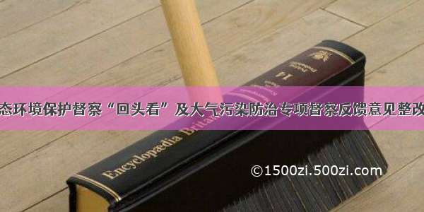 关于中央生态环境保护督察“回头看”及大气污染防治专项督察反馈意见整改情况的报告