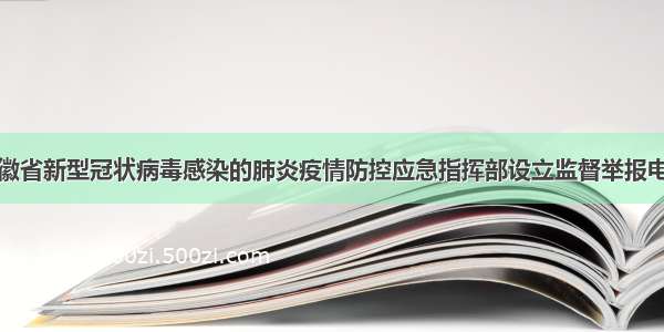 安徽省新型冠状病毒感染的肺炎疫情防控应急指挥部设立监督举报电话