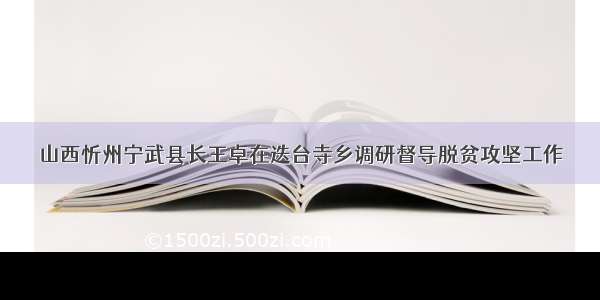 山西忻州宁武县长王卓在迭台寺乡调研督导脱贫攻坚工作