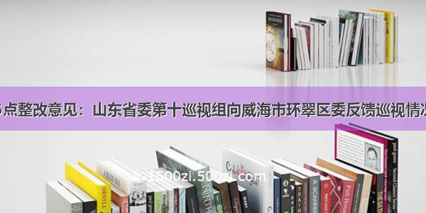 5点整改意见：山东省委第十巡视组向威海市环翠区委反馈巡视情况