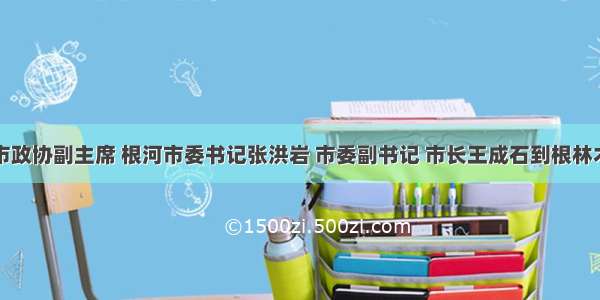 呼伦贝尔市政协副主席 根河市委书记张洪岩 市委副书记 市长王成石到根林木业有限公