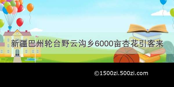 新疆巴州轮台野云沟乡6000亩杏花引客来