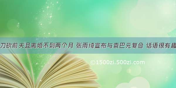 刀砍前夫且离婚不到两个月 张雨绮宣布与袁巴元复合 话语很有趣