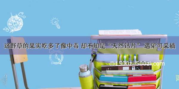 这野草的果实吃多了像中毒 却不知是“天然钙片” 遇见可采摘