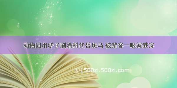 动物园用驴子刷涂料代替斑马 被游客一眼就戳穿