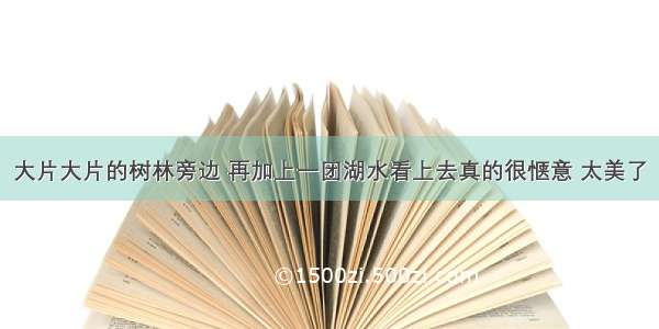 大片大片的树林旁边 再加上一团湖水看上去真的很惬意 太美了