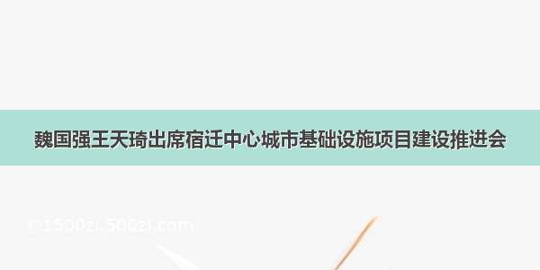 魏国强王天琦出席宿迁中心城市基础设施项目建设推进会