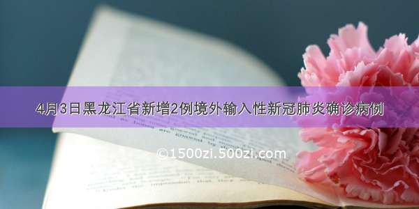 4月3日黑龙江省新增2例境外输入性新冠肺炎确诊病例