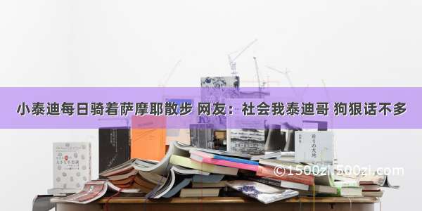 小泰迪每日骑着萨摩耶散步 网友：社会我泰迪哥 狗狠话不多