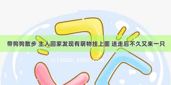 带狗狗散步 主人回家发现有萌物挂上面 送走后不久又来一只