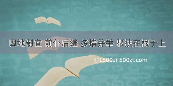 因地制宜 前仆后继 多措并举 帮扶在根子上