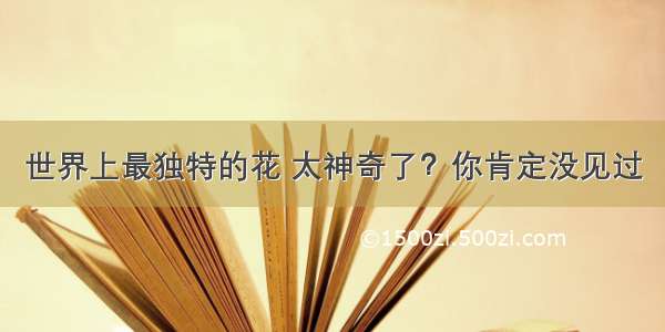 世界上最独特的花 太神奇了？你肯定没见过