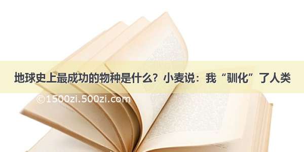 地球史上最成功的物种是什么？小麦说：我“驯化”了人类