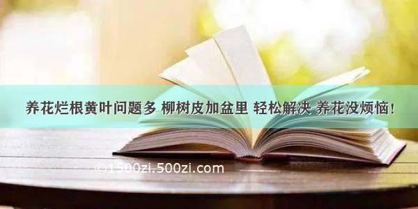 养花烂根黄叶问题多 柳树皮加盆里 轻松解决 养花没烦恼！