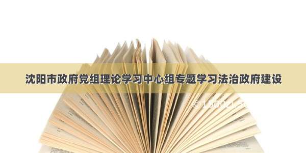 沈阳市政府党组理论学习中心组专题学习法治政府建设