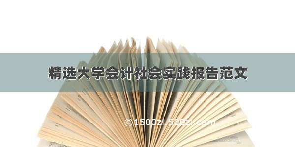 精选大学会计社会实践报告范文