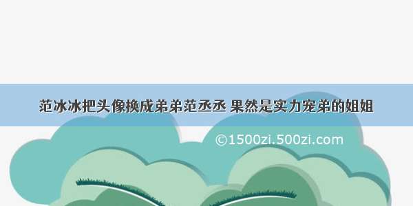 范冰冰把头像换成弟弟范丞丞 果然是实力宠弟的姐姐