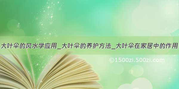 大叶伞的风水学应用_大叶伞的养护方法_大叶伞在家居中的作用