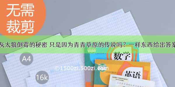 灰太狼倒霉的秘密 只是因为青青草原的传说吗？一样东西给出答案