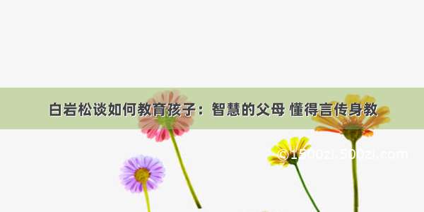 白岩松谈如何教育孩子：智慧的父母 懂得言传身教