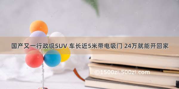 国产又一行政级SUV 车长近5米带电吸门 24万就能开回家