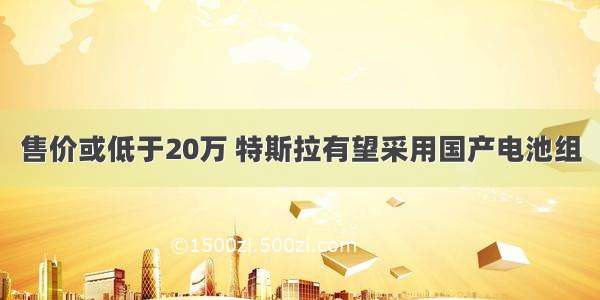 售价或低于20万 特斯拉有望采用国产电池组