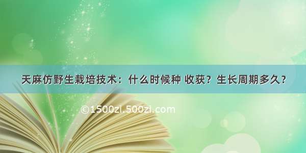 天麻仿野生栽培技术：什么时候种 收获？生长周期多久？