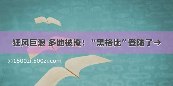 狂风巨浪 多地被淹！“黑格比”登陆了→