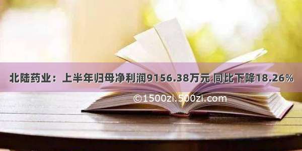 北陆药业：上半年归母净利润9156.38万元 同比下降18.26%