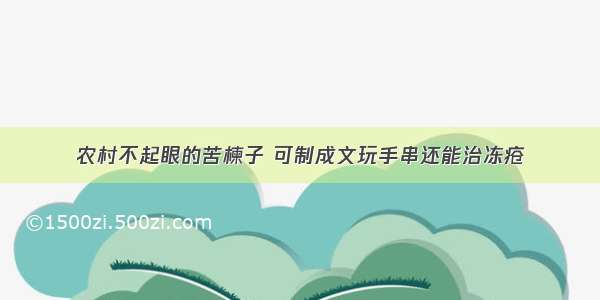 农村不起眼的苦楝子 可制成文玩手串还能治冻疮