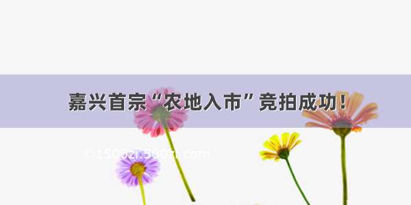 嘉兴首宗“农地入市”竞拍成功！