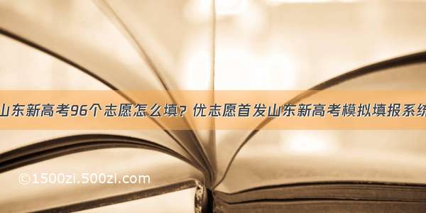 山东新高考96个志愿怎么填？优志愿首发山东新高考模拟填报系统