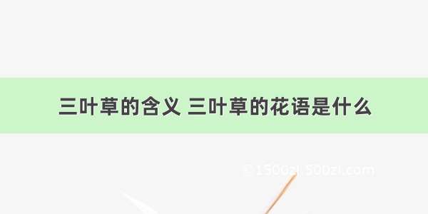 三叶草的含义 三叶草的花语是什么