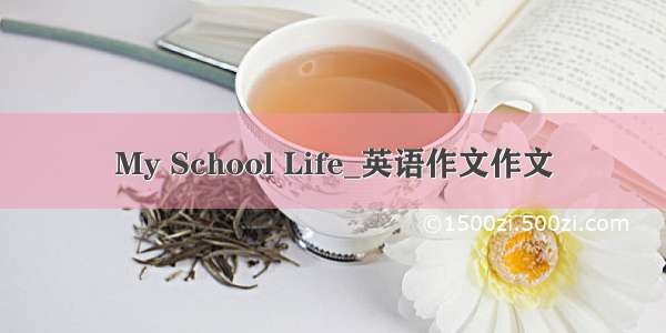 My School Life_英语作文作文