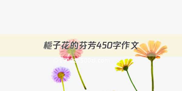 栀子花的芬芳450字作文