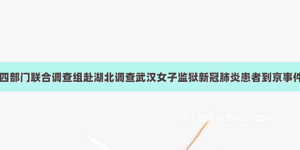 四部门联合调查组赴湖北调查武汉女子监狱新冠肺炎患者到京事件