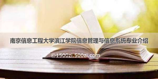 南京信息工程大学滨江学院信息管理与信息系统专业介绍