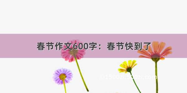 春节作文600字：春节快到了