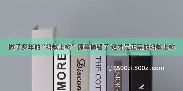 做了多年的“蚂蚁上树” 原来做错了 这才是正宗的蚂蚁上树