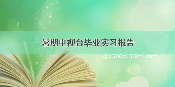 暑期电视台毕业实习报告