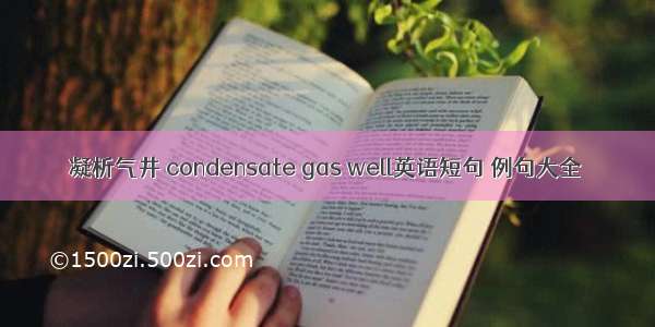 凝析气井 condensate gas well英语短句 例句大全