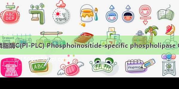 磷脂酰肌醇依赖的磷脂酶C(PI-PLC) Phosphoinositide-specific phospholipase C英语短句 例句大全