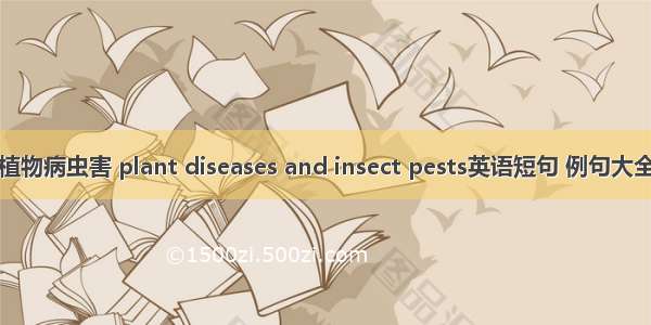 植物病虫害 plant diseases and insect pests英语短句 例句大全
