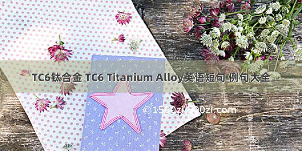 TC6钛合金 TC6 Titanium Alloy英语短句 例句大全